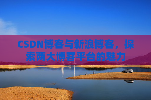 CSDN博客与新浪博客，探索两大博客平台的魅力